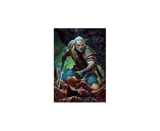 Puzle Good Loot The Witcher Dark World 1000