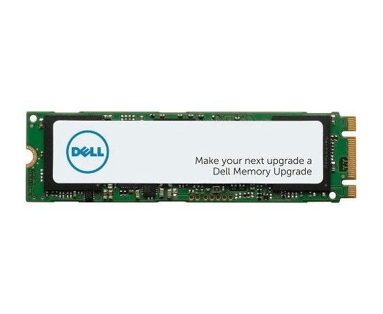 SSD Dell 256GB M.2 2280 PCI-E x4 Gen3 NVMe (AA615519)