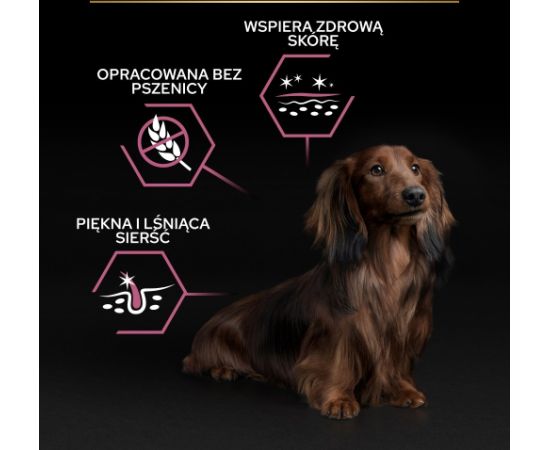 PURINA PRO PLAN SMALL & MINI ADULT Łosoś 700g