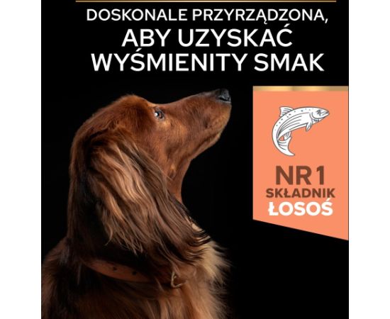 PURINA PRO PLAN SMALL & MINI ADULT Łosoś 700g