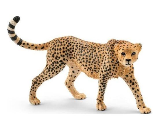 Schleich - Wild Life Female Cheetah A+