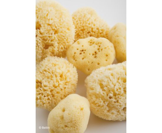 BabÙ® Bab?® sponge natural nr.12