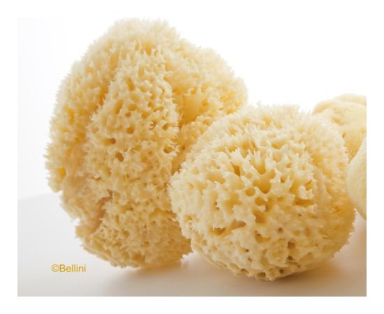 BabÙ® Bab?® sponge natural nr.12