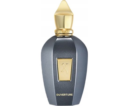 Xerjoff XERJOFF Ouverture EDP spray 100ml