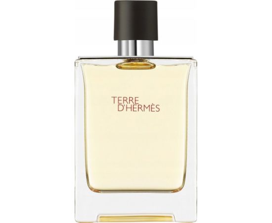 Hermes Terre D'hermes Eau De Toilette Purškiklis 100ml