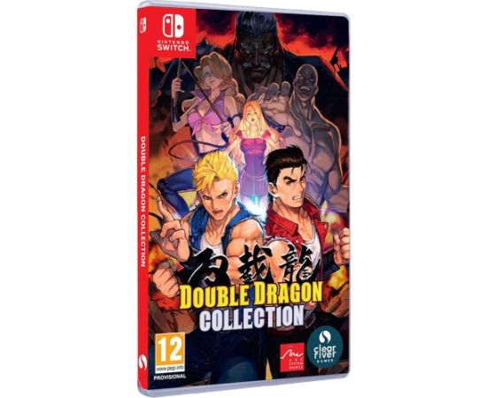 Nintendo Switch  Double Dragon Collection