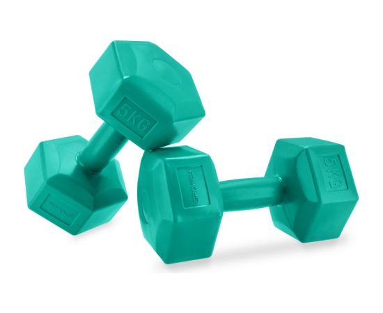 Spokey Monster dumbbells 2x 5 kg SPK-943622 (2x5kg)