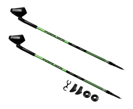 Spokey Meadow II Nordic Walking poles 927835