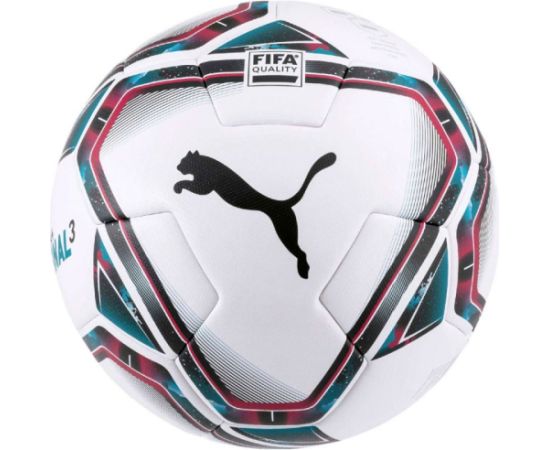 Puma teamFINAL 21.3 Fifa Quality ball 083306 01 (4)