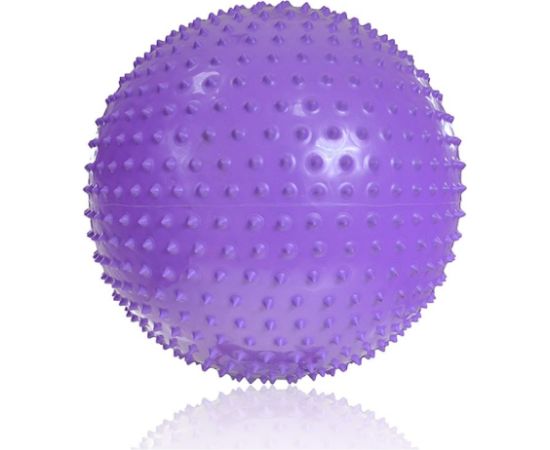 Inny Gym ball with massage PROFIT 55cm purple DK 2104