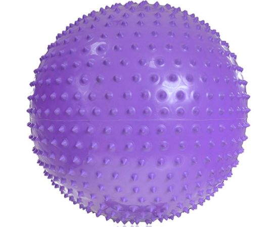 Inny Gym ball with massage PROFIT 55cm purple DK 2104