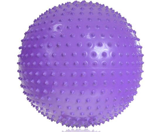 Inny Gym ball with massage PROFIT 55cm purple DK 2104