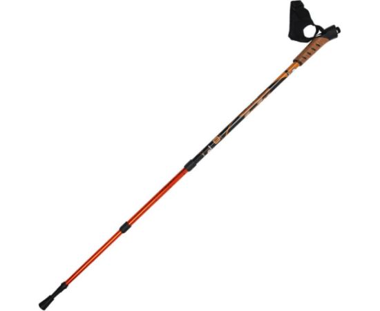 Inny Trekking stick SM3-B12/C3 (110-135 cm)