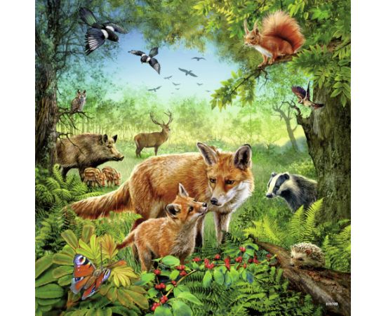 Ravensburger Puzzle 3x49 pc World Animals