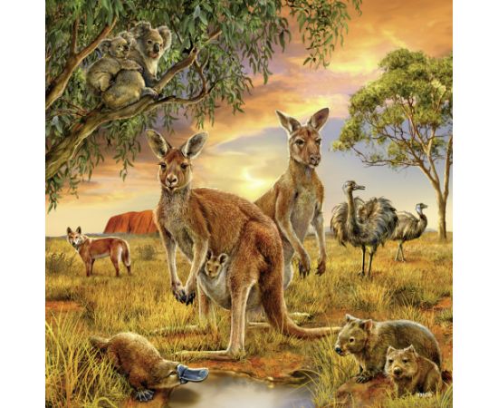 Ravensburger Puzzle 3x49 pc World Animals