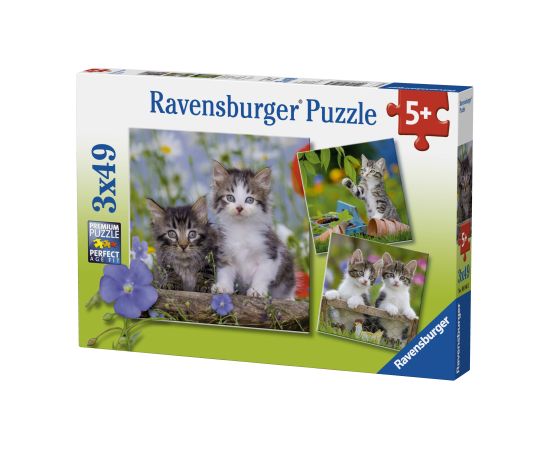 Ravensburger Puzzle 3x49 pc Kittens