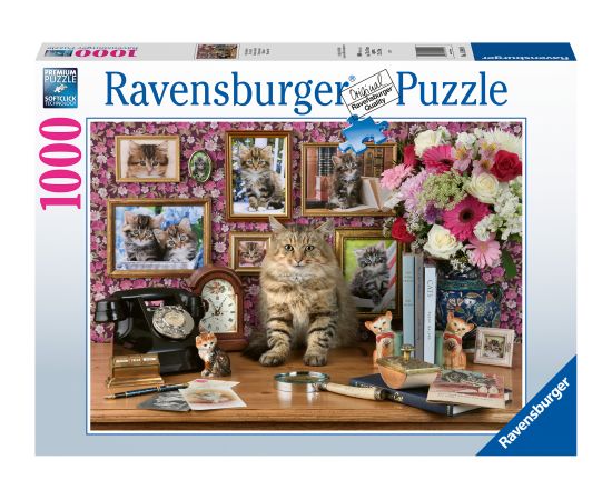 Ravensburger Puzzle 1000 pc My Cute Kitty