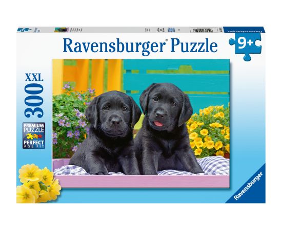 Ravensburger  Puzzle 300 pc Puppies