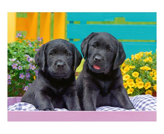 Ravensburger  Puzzle 300 pc Puppies