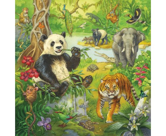 Ravensburger Puzzle 3x49 pc Jungle Fun