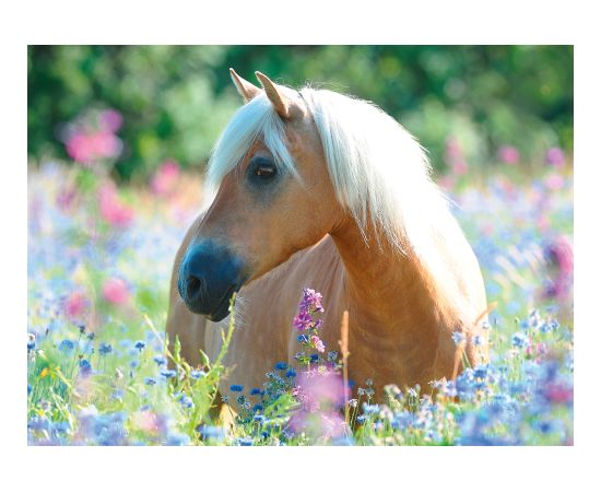 Ravensburger Puzzle 300 pc Horse in Flowers