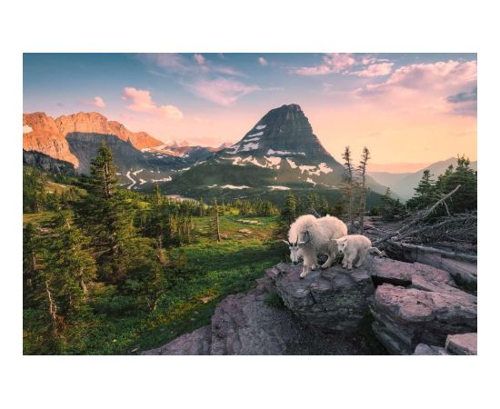 Ravensburger Puzzle 4000 pc Enchanting View of the Mountain