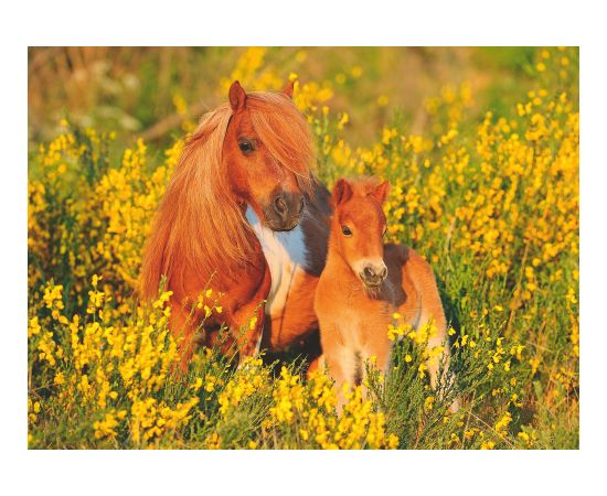 Ravensburger Puzzle 100 pc Ponies