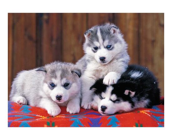 Ravensburger Puzzle 200 pc Huskies