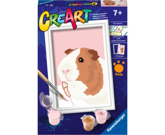 Ravensburger Paint by Numbers Guinea Pig