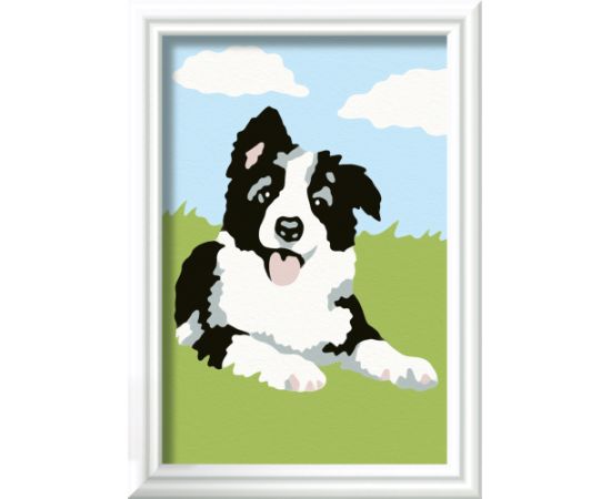 Ravensburger Paint by Numbers Border Collie