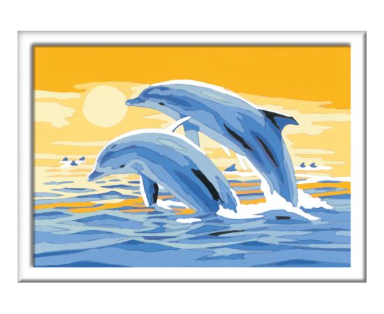 Ravensburger Paint by Numbers Delightful Dolphins