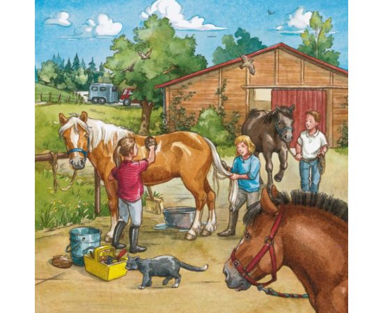 Ravensburger Puzzle 3x49 pc A Day with Horses Puzzle