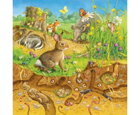 Ravensburger Puzzle 3x49 pc Animals