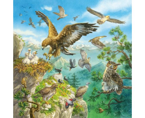 Ravensburger Puzzle 3x49 pc Animals