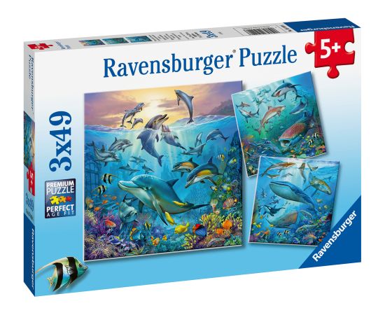 Ravensburger Puzzle 3x49 pc Ocean Life