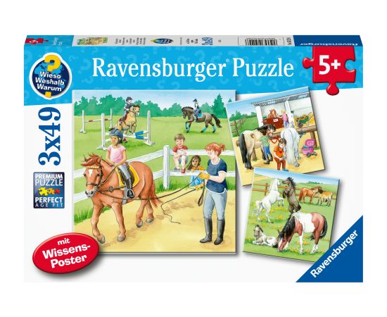 Ravensburger Puzzle 3x49 pc Horses