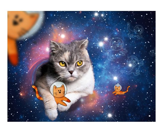 Ravensburger Puzzle 1500 Pc Space cats