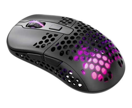 CHERRY Xtrfy M42 RGB Wireless Gaming Mouse (Black)