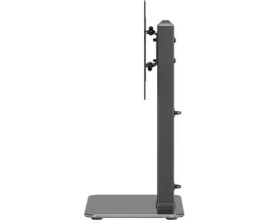 Newstar TV SET ACC DESK MOUNT 23-43"/DS45-430BL12 NEOMOUNTS