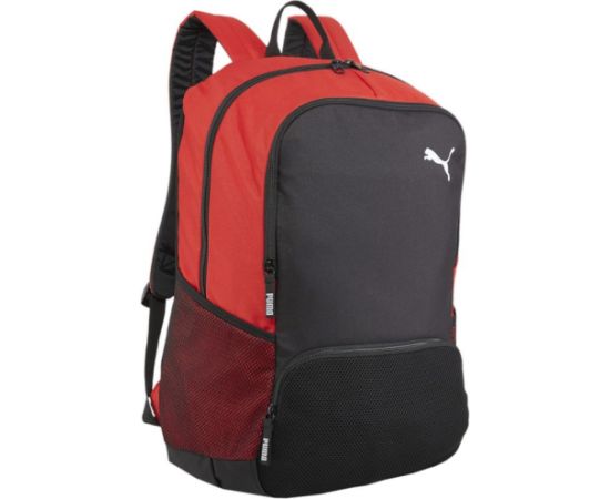 Puma Team Goal Premium backpack 90458 03