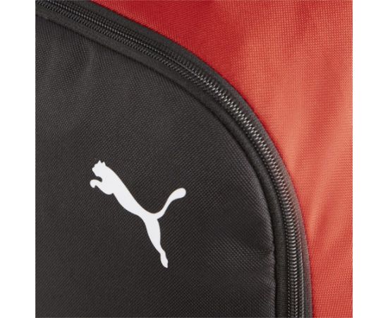 Puma Team Goal Premium backpack 90458 03