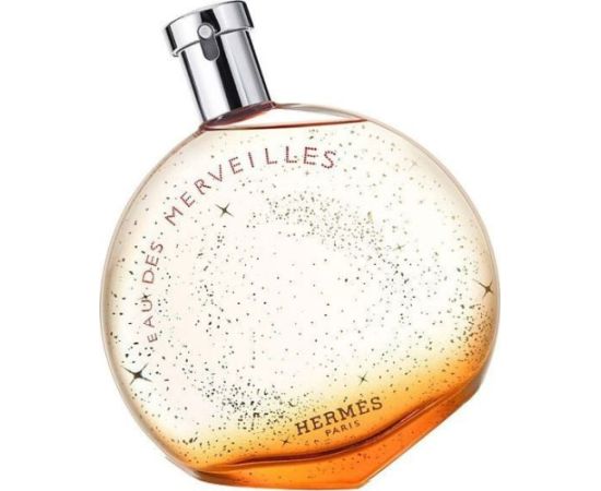 Hermes Hermès EDT 100 ml