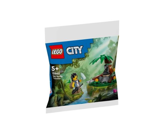 LEGO City Spotkanie z małym gorylem