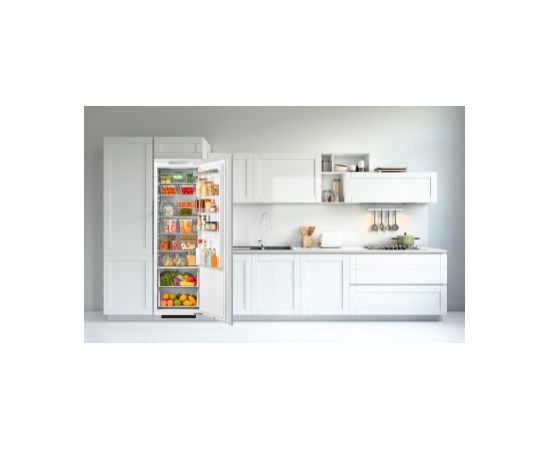 Built-in Refrigerator Frigelux SPNF177BI