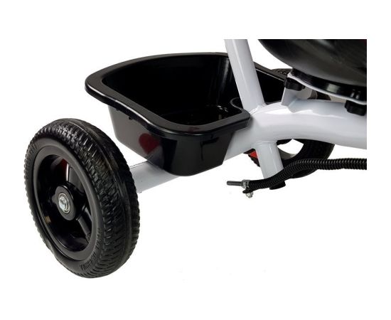 Leantoys Tricycle PRO300 Violet