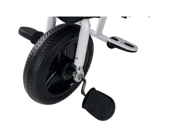 Leantoys Tricycle PRO300 Black