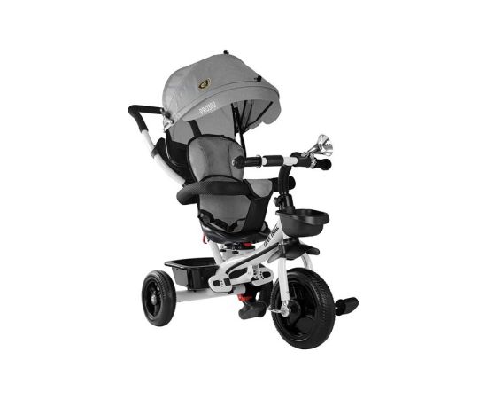 Leantoys Tricycle PRO300 Gray