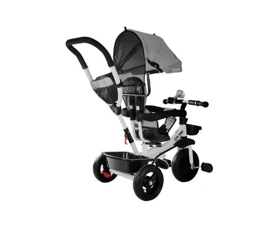 Leantoys Tricycle PRO300 Gray