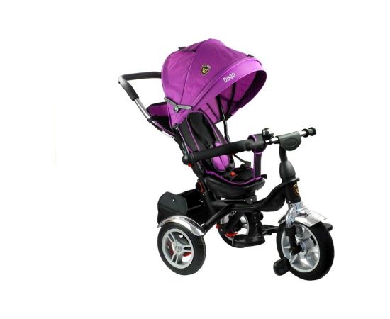 Leantoys Tricycle Bike PRO500 - Violet