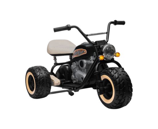 Leantoys Battery-powered Tricycle LL6688 Black 24V